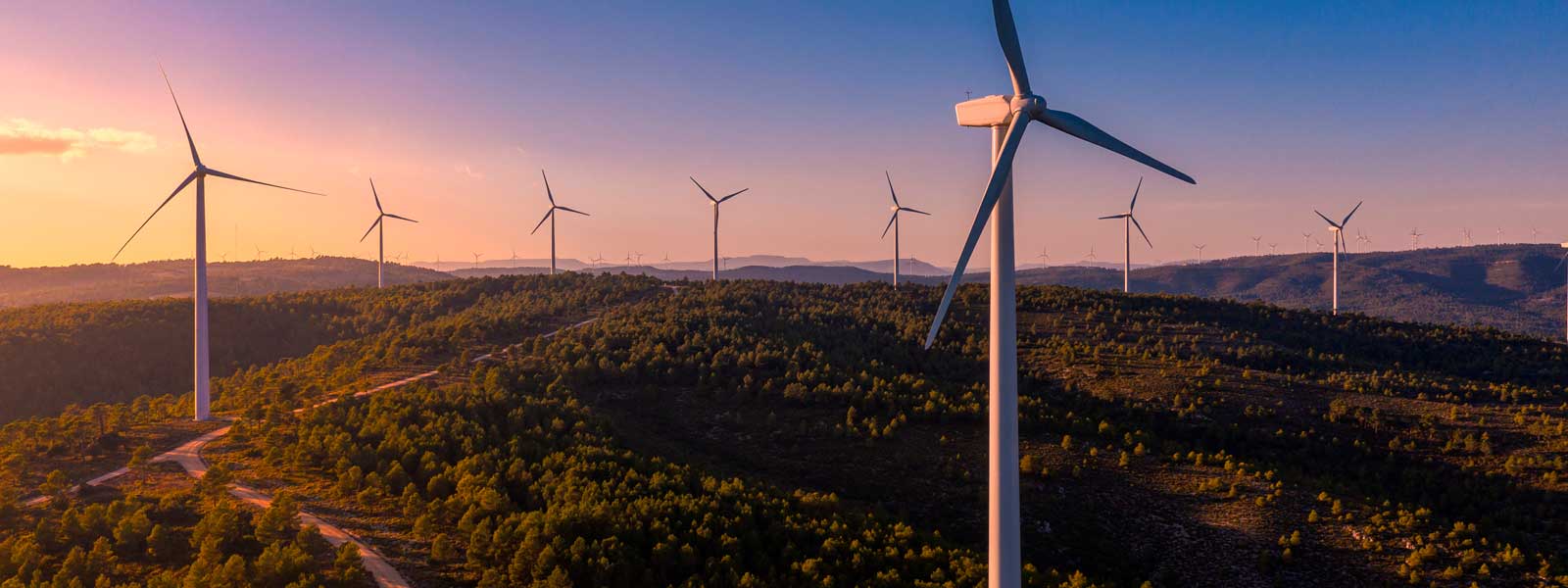 Chemical, Plastics & Green Business