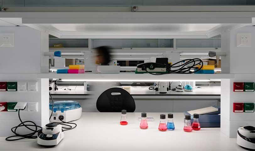 caixaresearch institute